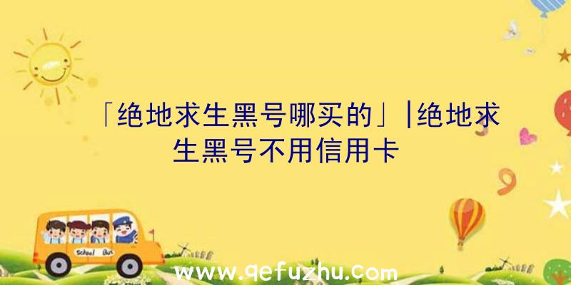 「绝地求生黑号哪买的」|绝地求生黑号不用信用卡